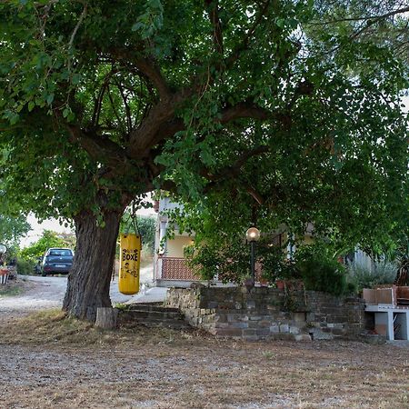 Casa Vacanze Diamante Ogliastro Cilento Esterno foto
