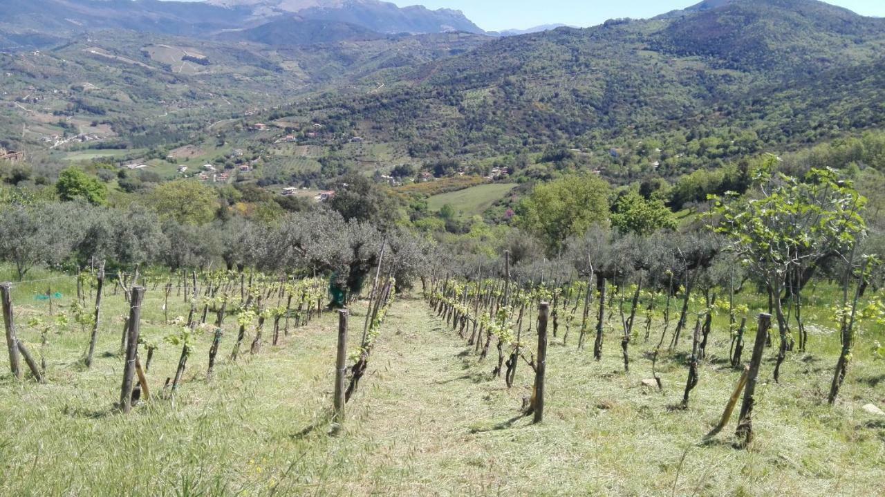 Casa Vacanze Diamante Ogliastro Cilento Esterno foto