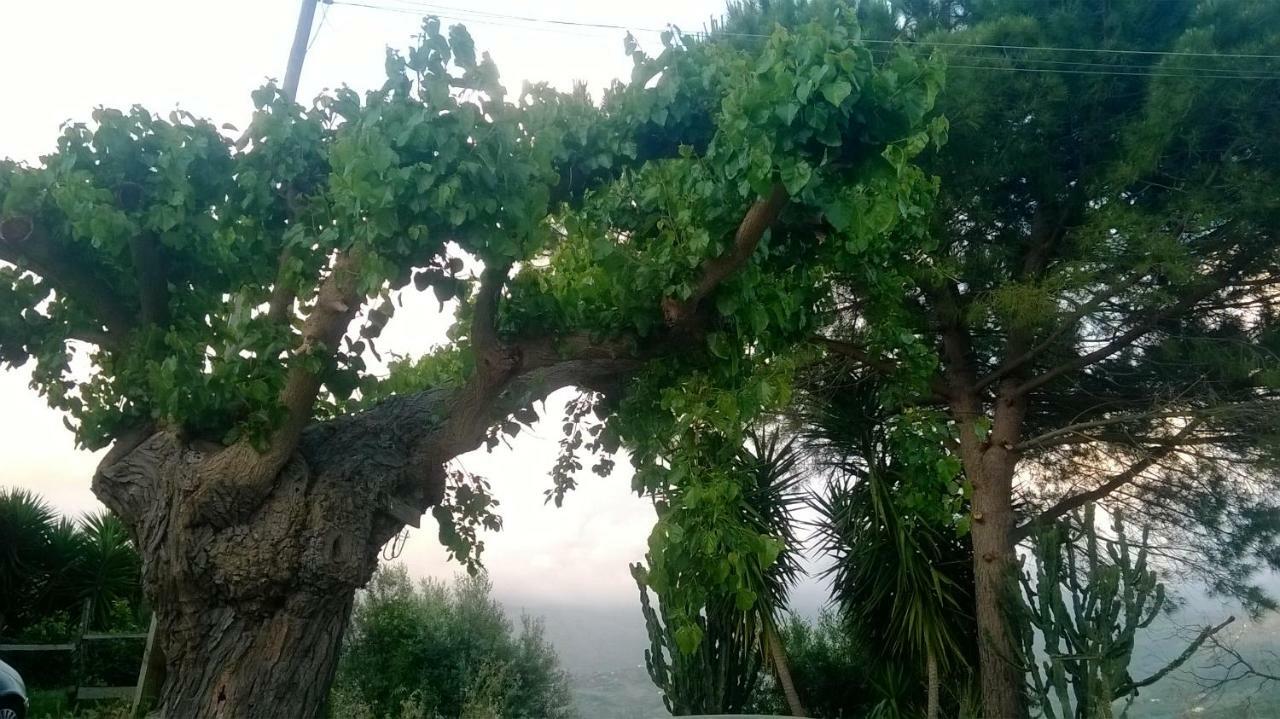 Casa Vacanze Diamante Ogliastro Cilento Esterno foto
