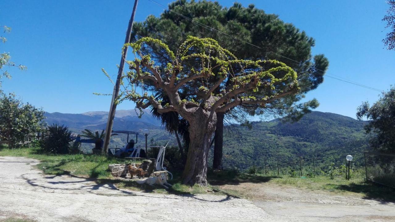 Casa Vacanze Diamante Ogliastro Cilento Esterno foto