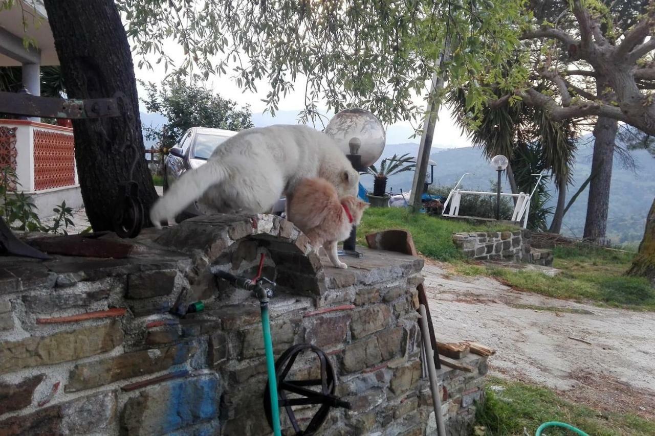 Casa Vacanze Diamante Ogliastro Cilento Esterno foto